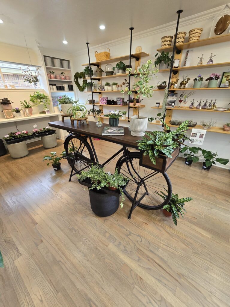 441460428 855307206629745 807909121731904199 n 768x1024