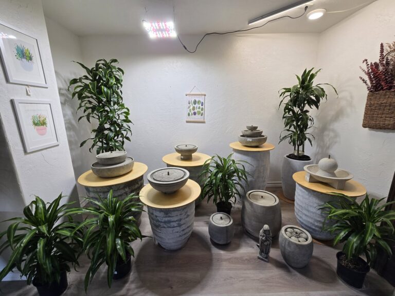 442436856 855307099963089 7081713966264655219 n 768x576