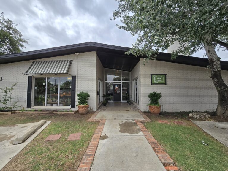 445014407 855307163296416 2997288665409962268 n 768x576