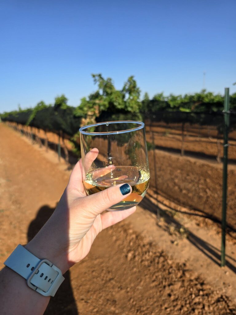 453170452 900147475479051 1160230999655759105 n 768x1024