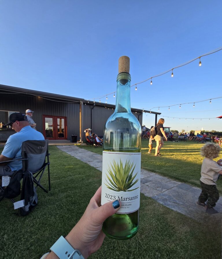 453501013 900147315479067 3293760587486196505 n 768x895