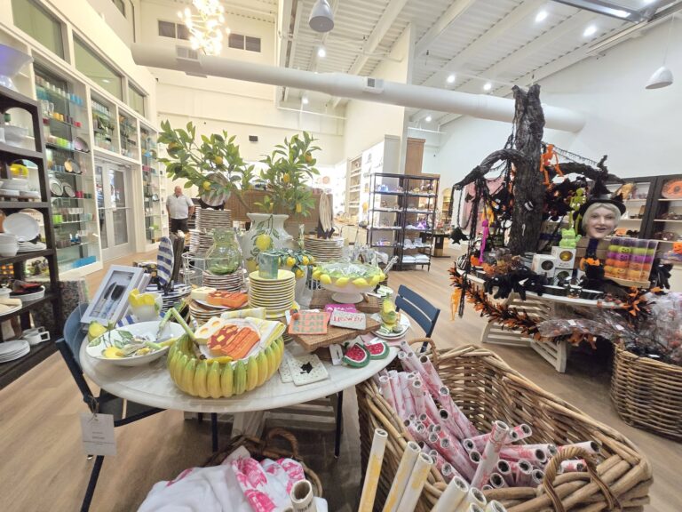 465125776 965381935622271 1274229027973522732 n 768x576