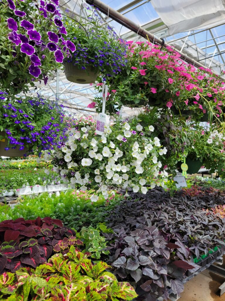 481270264 1057441046416359 96439461501793849 n 768x1024