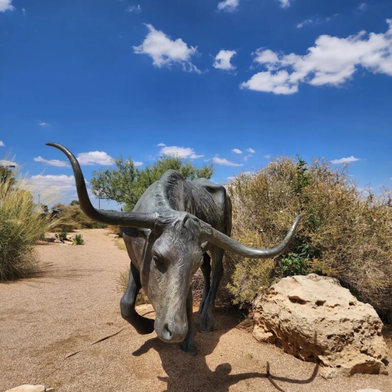 485306795 9428479650600962 4797864993919795461 n 768x768