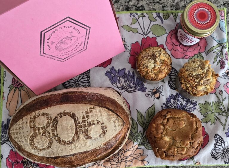 485754983 1070085461818584 7869643600104463055 n 768x563