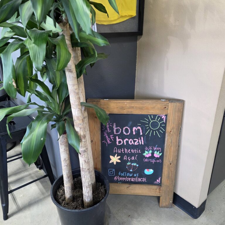 577468348 1257567113070417 5463371300464913616 n 768x768