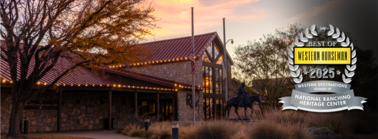 586258732 1247979787376742 7251156640469128909 n 768x284