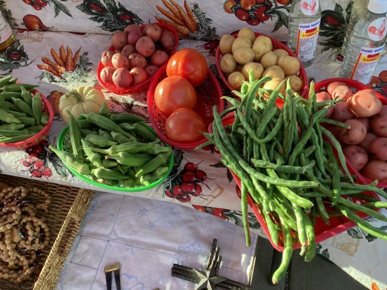 588854321 1307331224532314 881687430973159782 n 768x576