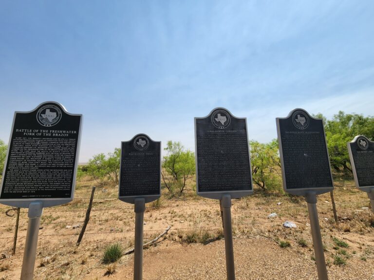 482238512 9378614442254150 899598913926803350 n 768x576