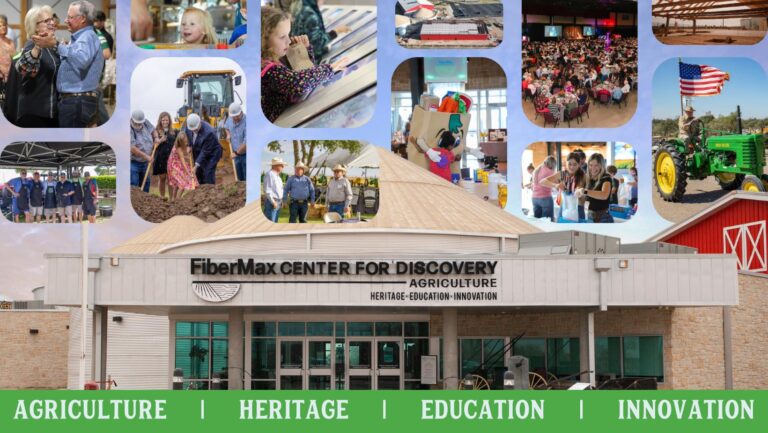 596688645 1406707624790278 4603862886438020135 n 768x433