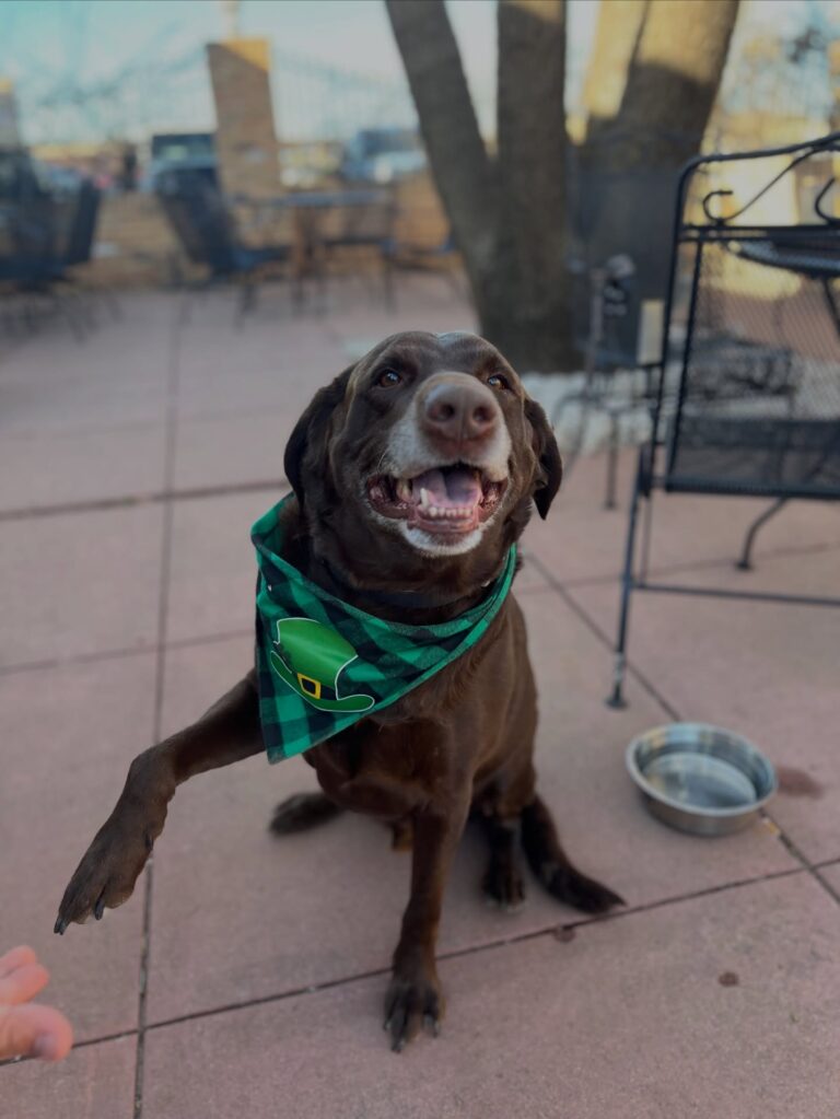 640410656 18317236618265787 5804927376328466994 n 768x1023