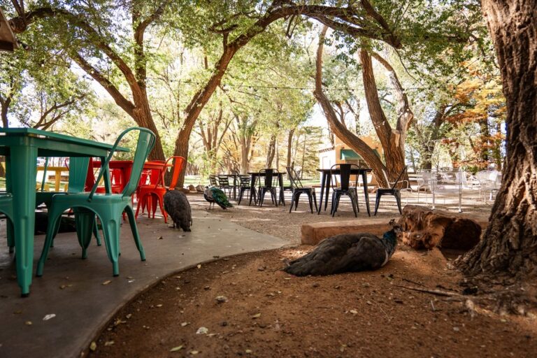 649057443 1554286443368440 2395058565653077812 n 768x512