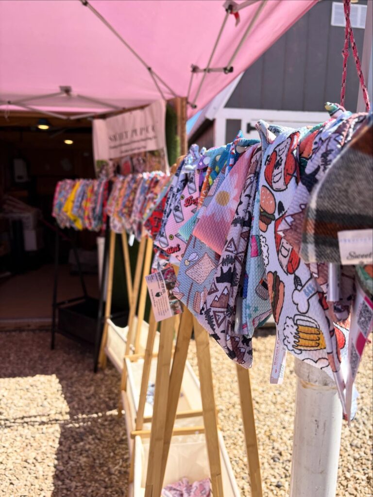 655215997 18130995487534726 5188874504494698390 n 768x1023