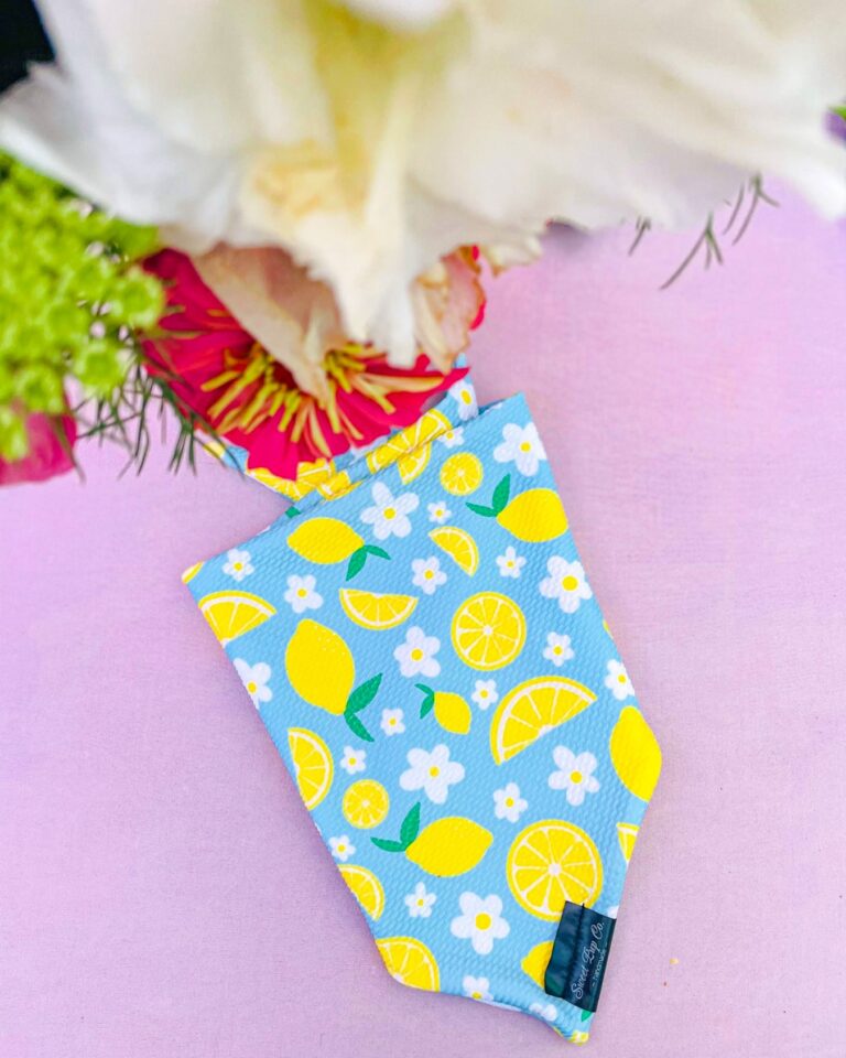 657758399 18131697976534726 3219908678557292515 n 768x960